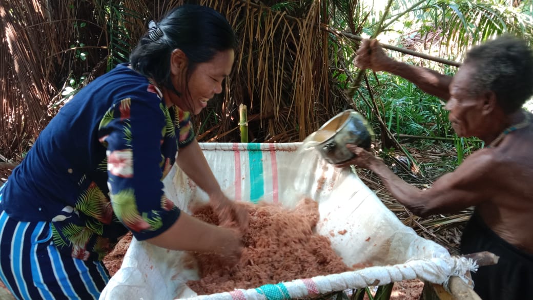 Proses penapisan sagu oleh suku Awyu di Kampung Bade, Kabupaten Mappi. Provinsi Papua Selatan, Indonesia. I Foto: Dokumentasi pribadi