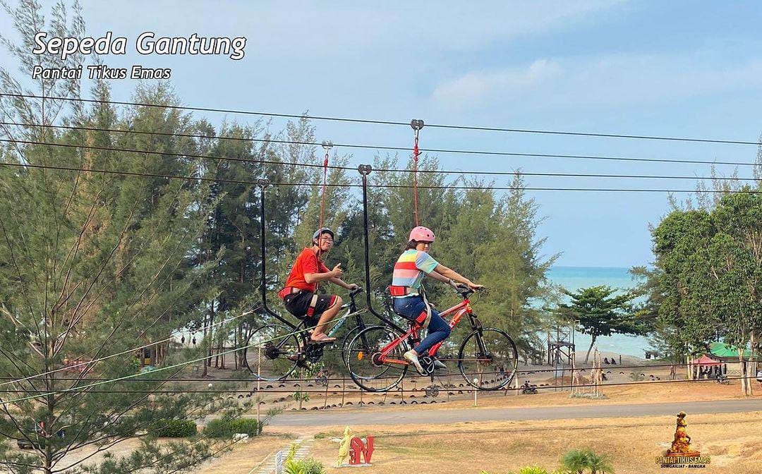 Instagram @pantai_tikus_emas