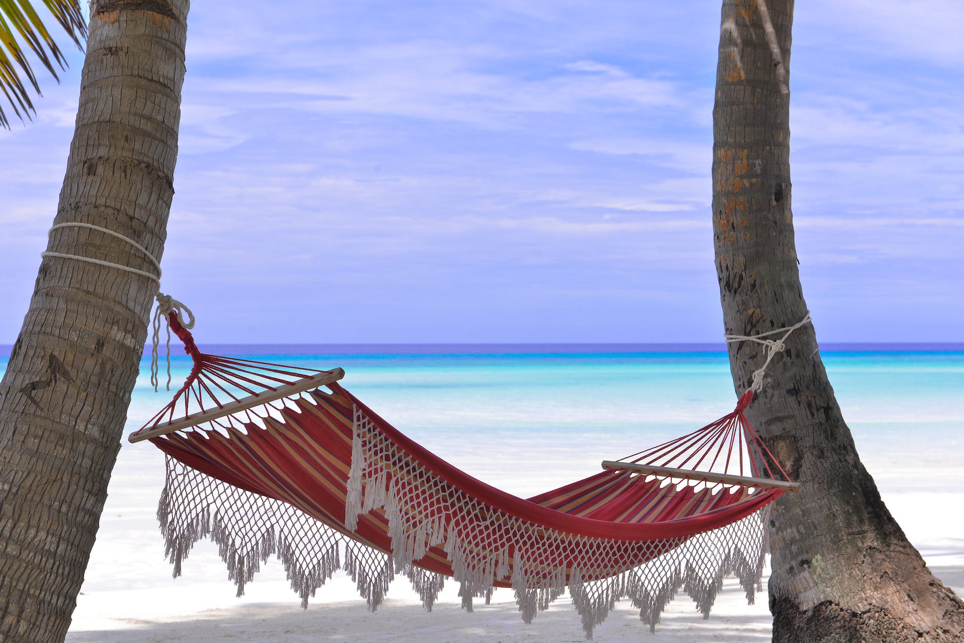 gambar hammock