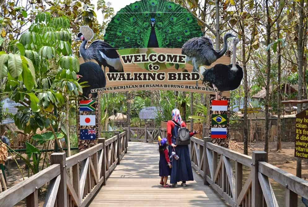 Eco Green Park Malang