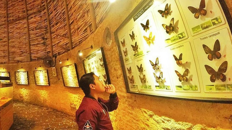 Eco Green Park