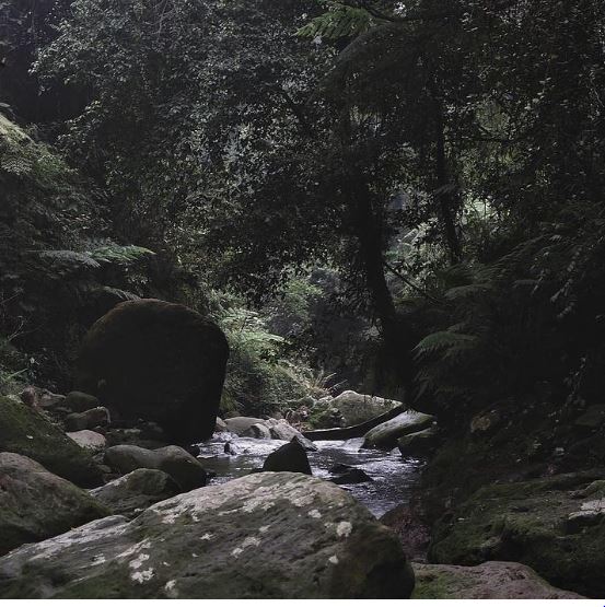 curug pangeran bogor