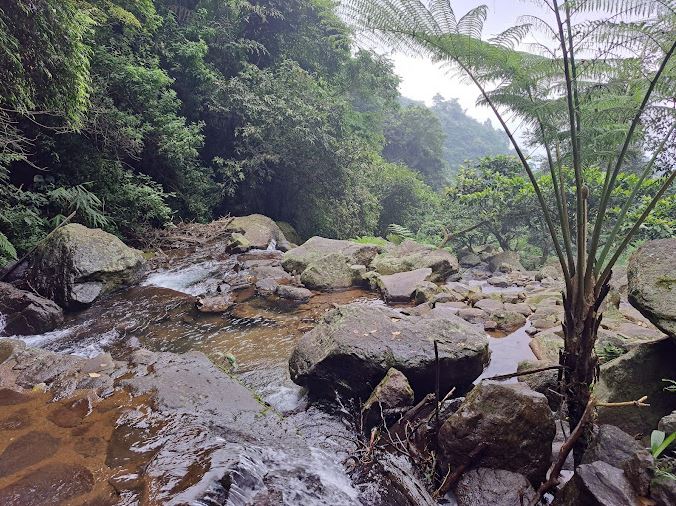 rimbun di curug ciherang