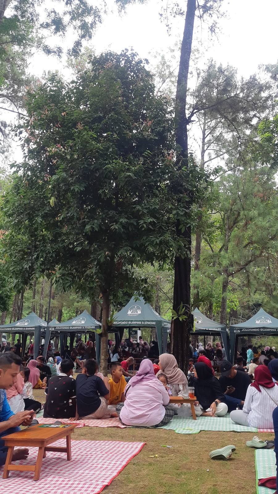Area Kafe Jolotundo Edupark © Dokumentasi Pribadi 2024