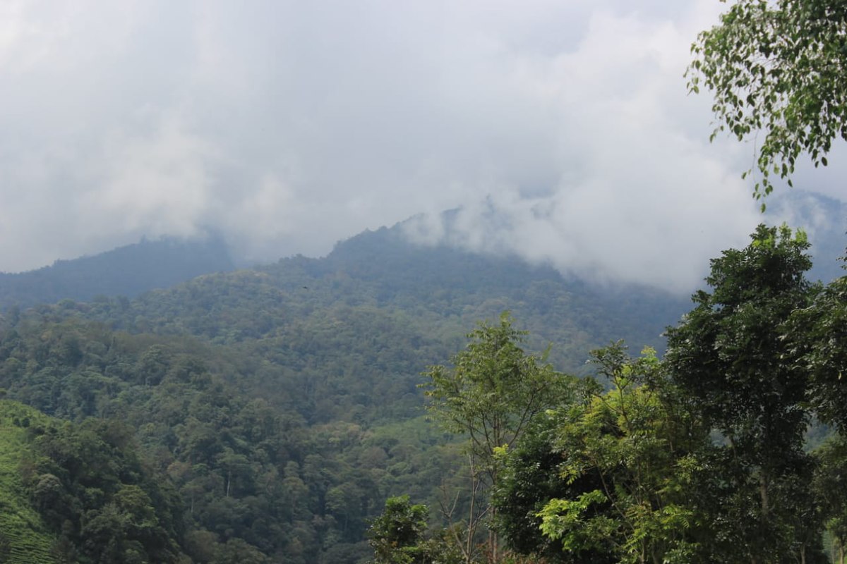 Gunung Buthak © Wikimedia Commons