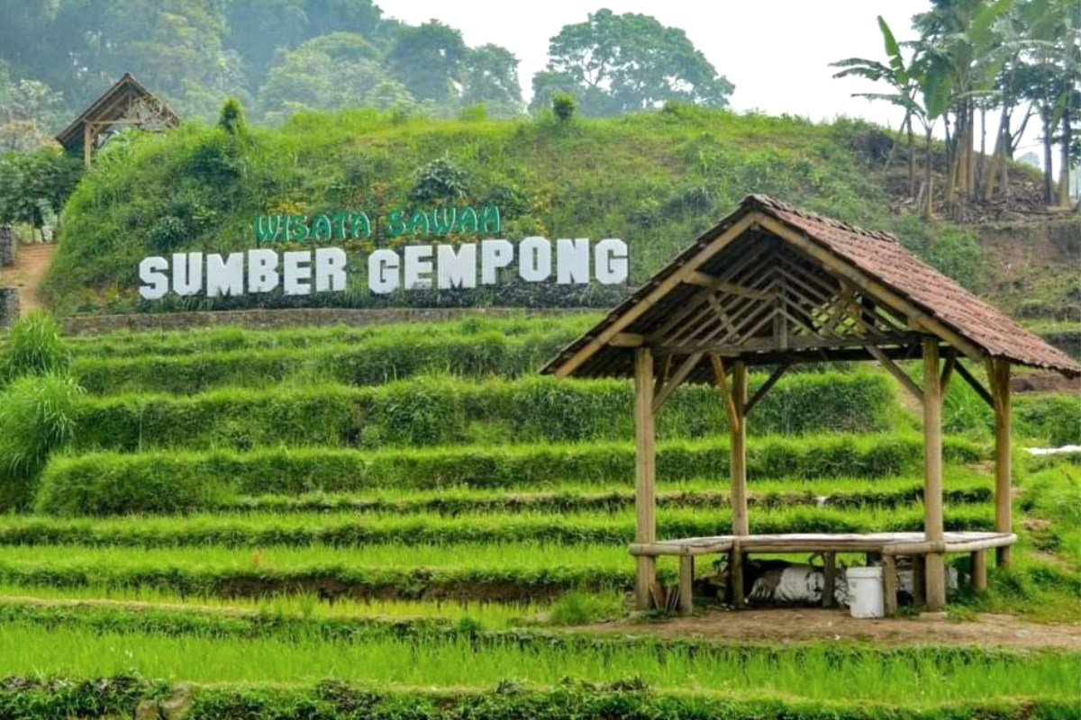 Wisata Sawah Sumber Gempong jadi salah satu Objek Wisata di Desa Ketapanrame