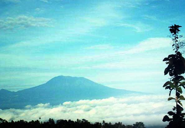 Destinasi Wisata Nganjuk, Gunung Wilis