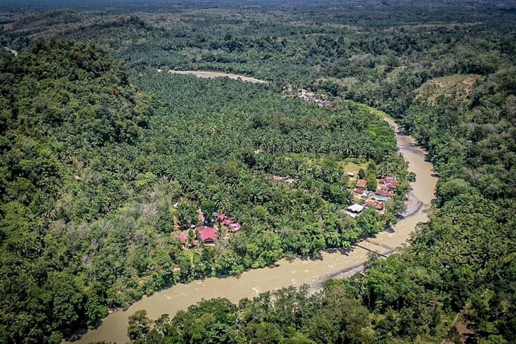 Kawasan Batu Katak Langkat yang berada di kawasan Taman Nasional Gunung Leuser | Foto: Kemenparekraf/kemenparekraf.go.id