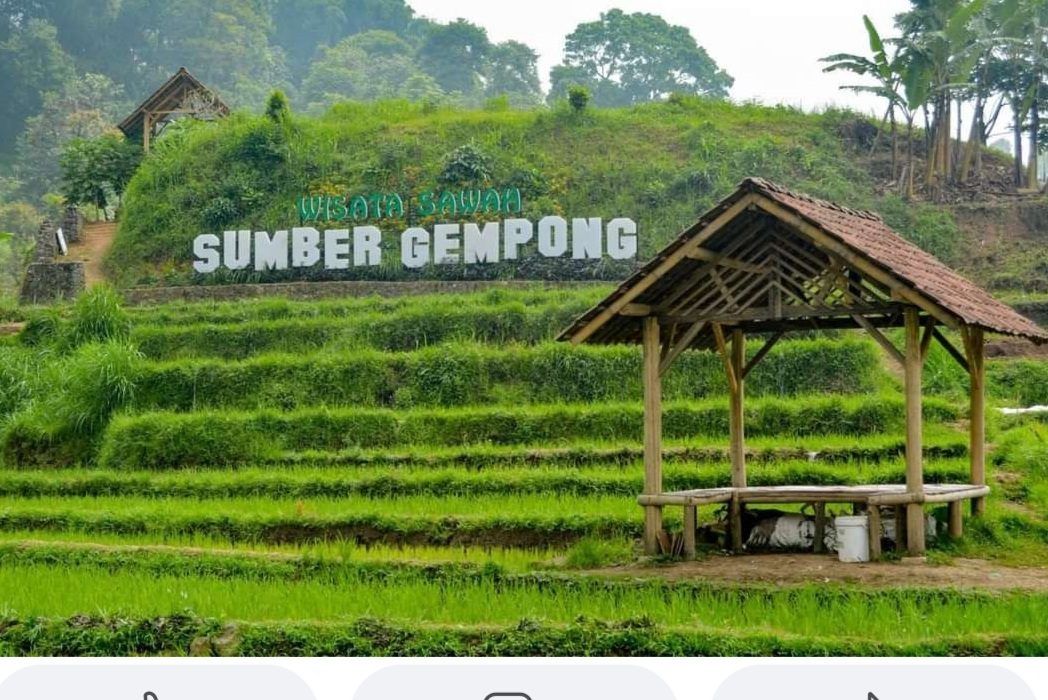 Wisata Trawas_Sawah Sumber Gempong