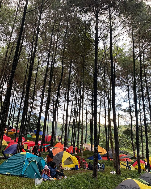Wisata Trawas_Alas Veenuz