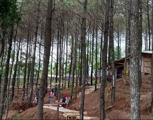 Tempat Wisata Pacet - Brambang Outdoor Sport Selfie