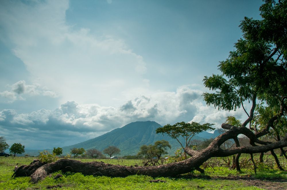 TN Baluran