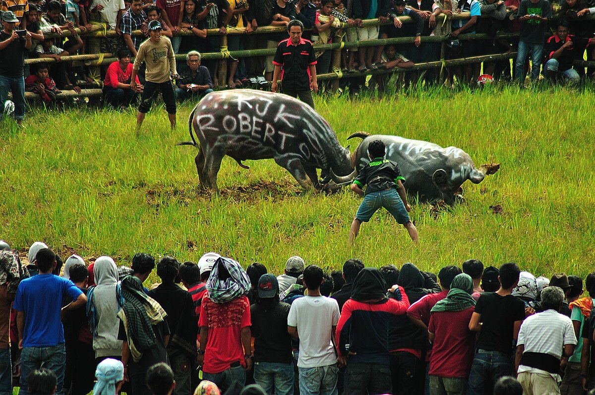 Mapasilaga