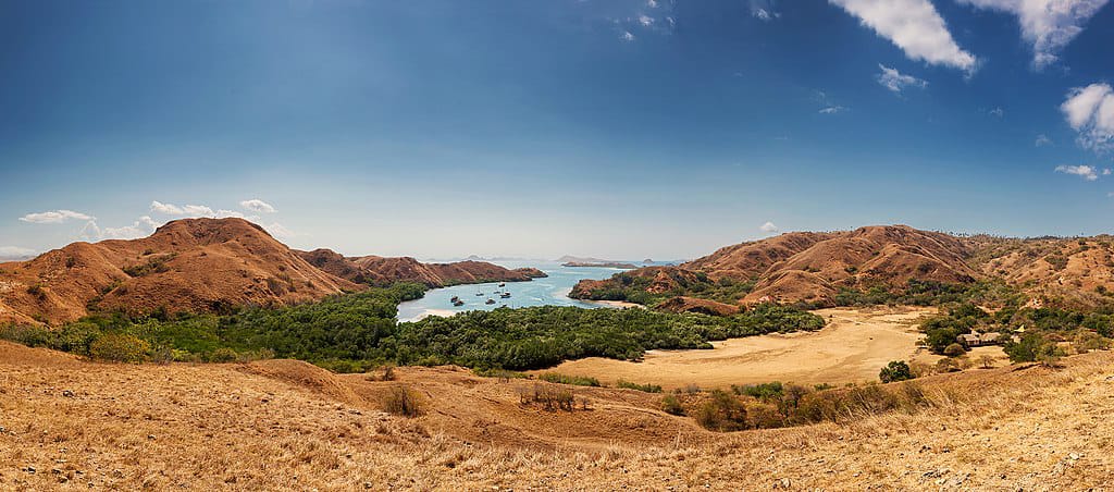 Pulau Rinca @ Dok. Wikimedia Commons/Pambudiyoga