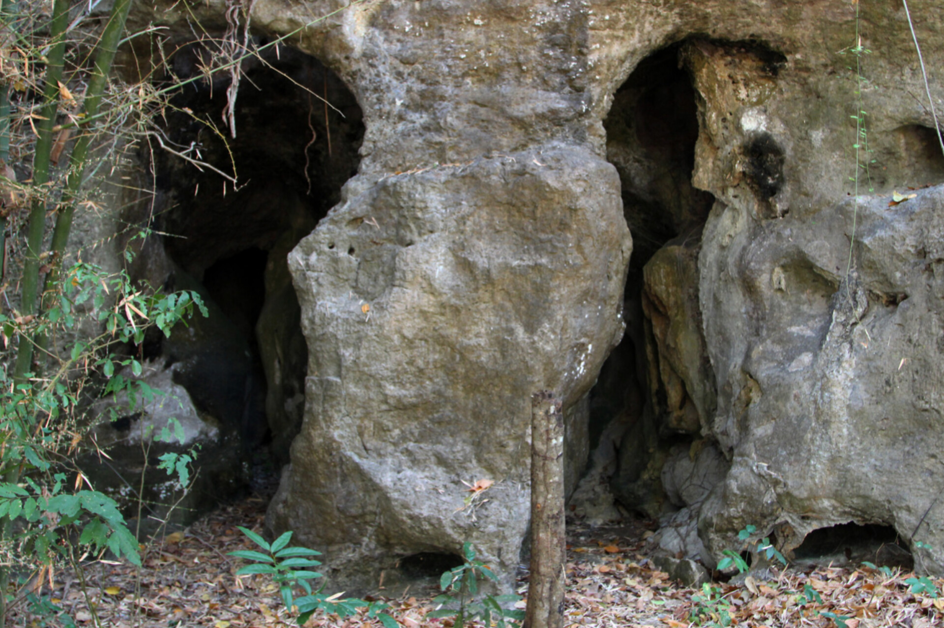 Photo by Canva.com