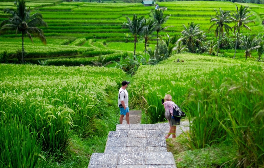 Sistem Subak di Desa Jatiluwih © kemenparekraf.go.id