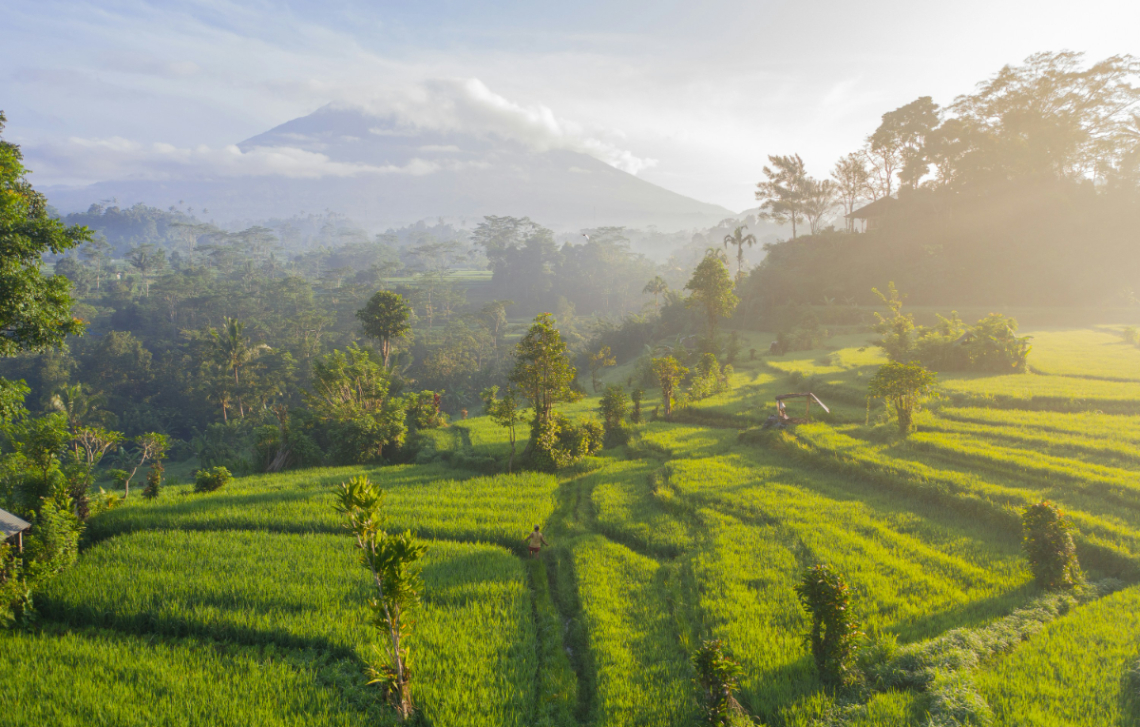 Filosofi Tri Hita Karana © Unplash/Geio Tischler