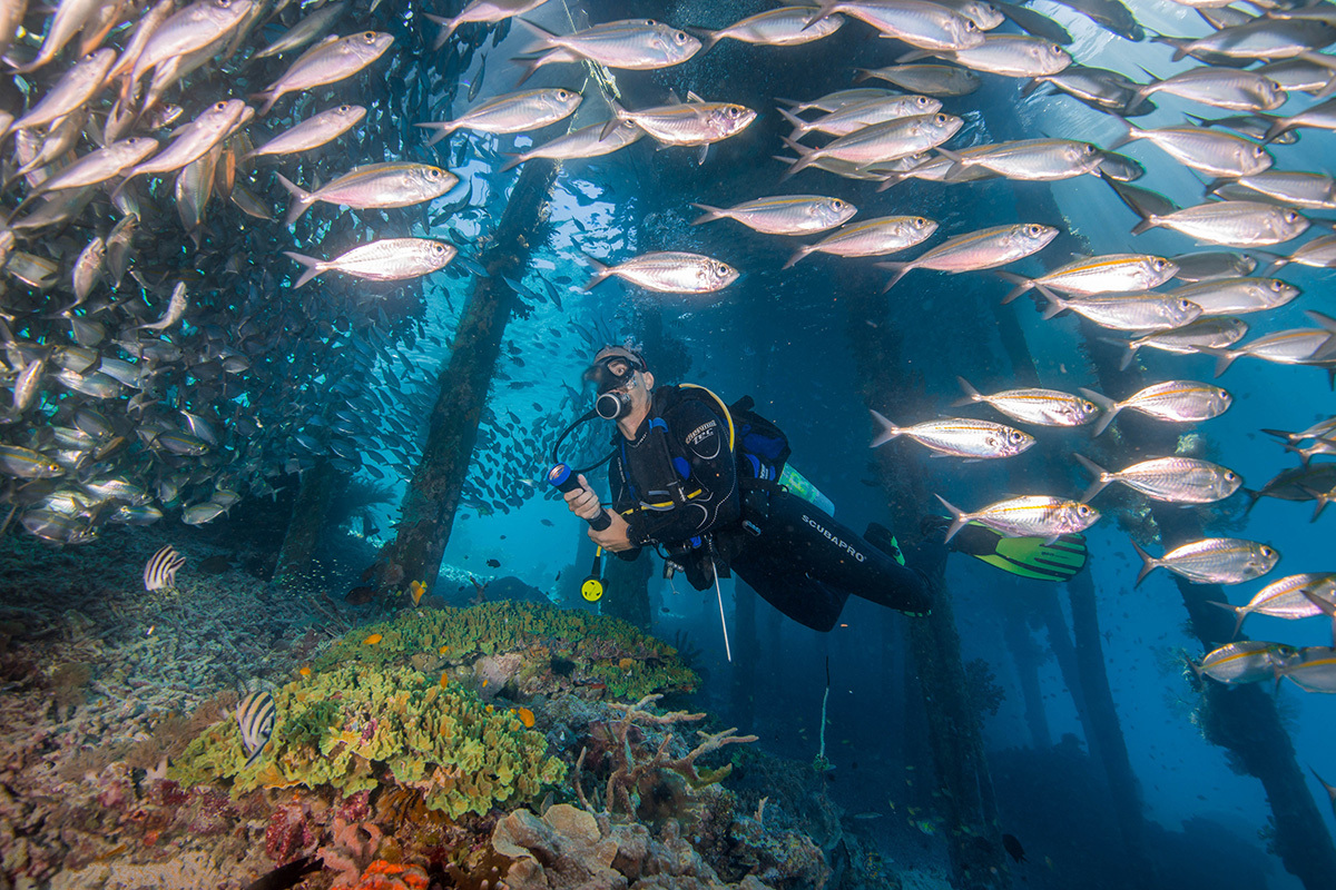 Wisata bawah laut yang menawan (dok. Kementerian Pariwisata dan Ekonomi Kreatif)