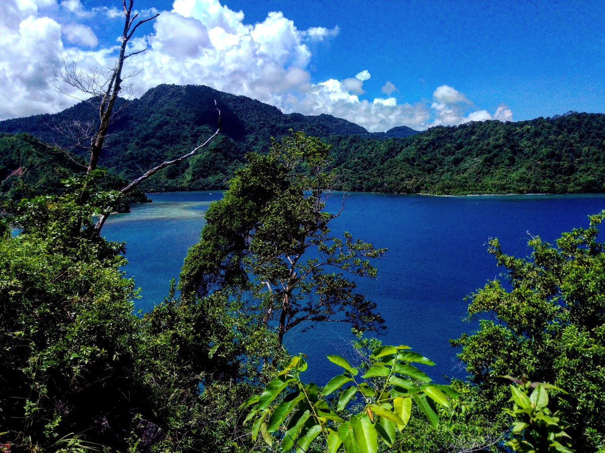 hutan tropis raja ampat