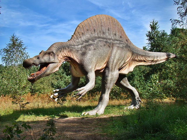 dinosaurus - gambar hewan huruf d - dok. Pixabay/ JerzyGorecki
