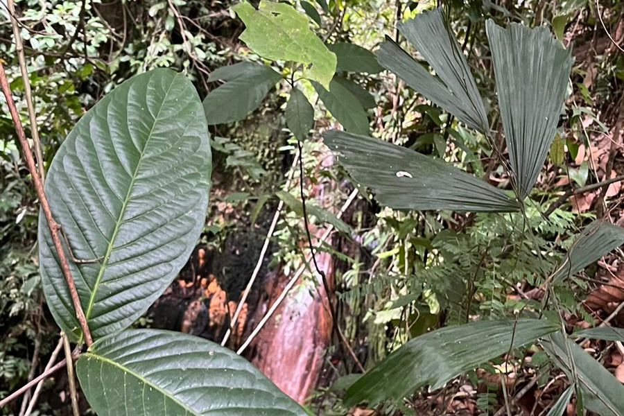 Sumber: Dokumentasi Pribadi