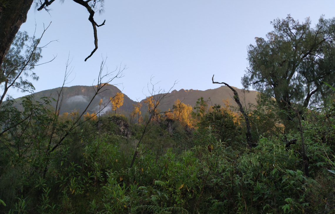 Mitos Jalak di Gunung Lawu | Wikimedia Commons/Zidnyirfan