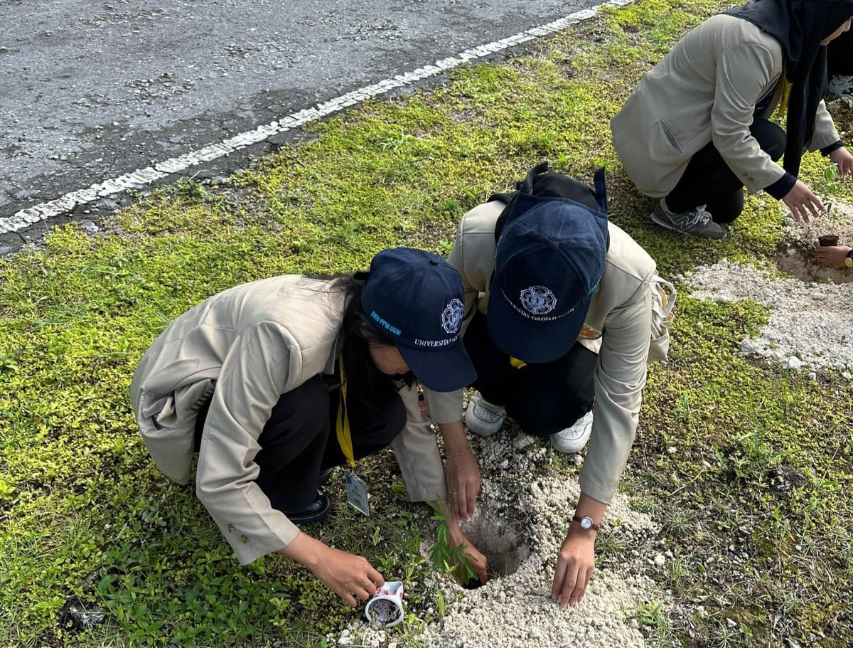 Proses penanaman bibit kaliandra merah di samping gedung Kantor Bupati Banggai Kepulauan sebagai bentuk carbon offsetting