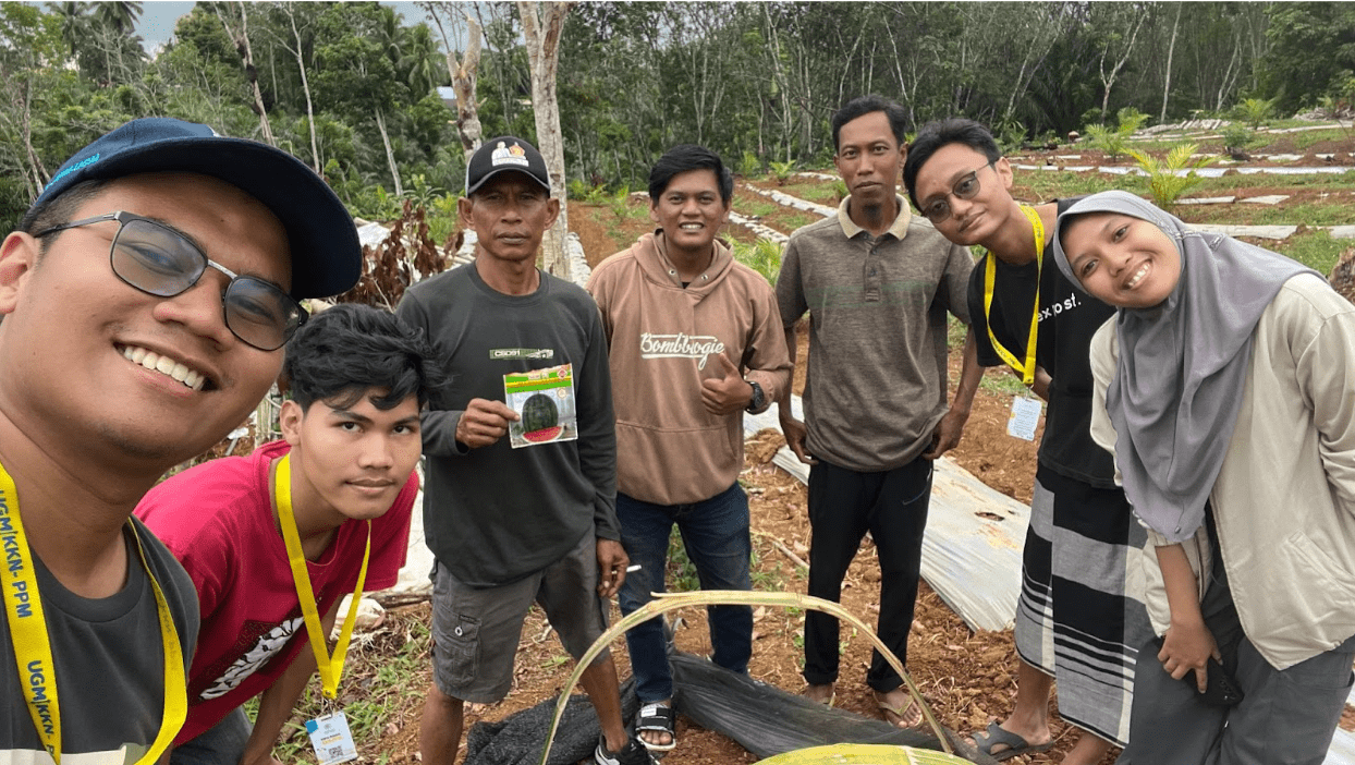 Survei Program Mahasiswa di Kebun Kelapa Sawit oleh Tim KKNPPM UGM