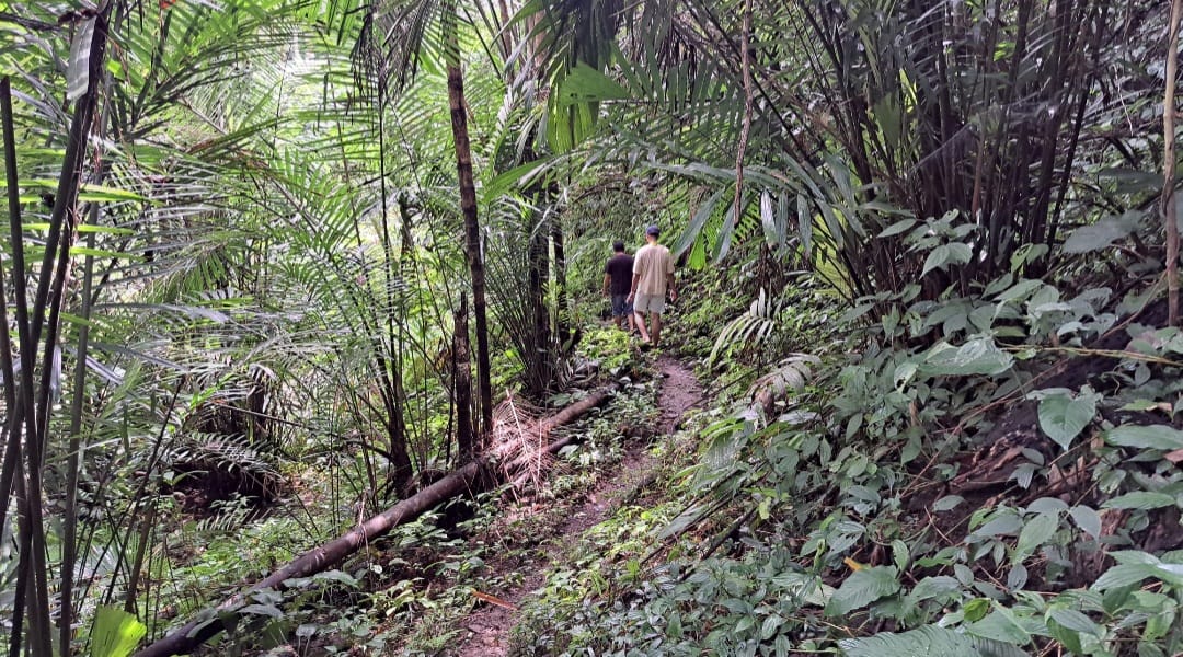 Jalur setapak menuju Air Terjun Kanikang