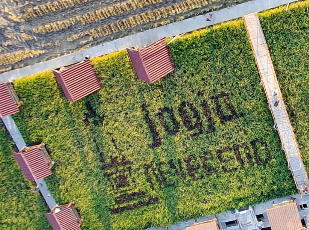 © Dokumentasi Pribadi