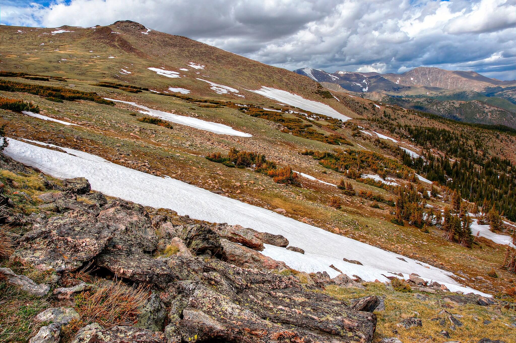 Tundra Snow Fields | Sumber: Wikimedia Commons.