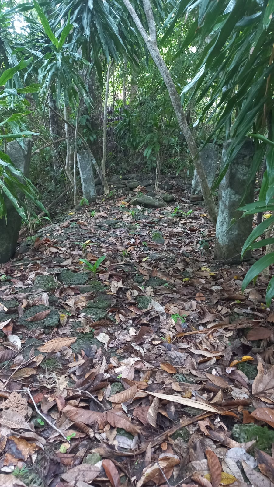 Makam batuSumber: Dokumentasi pribadi