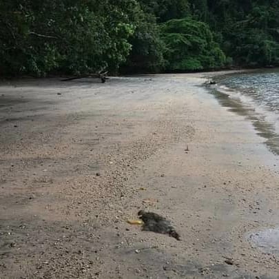 Pantai NaghaSumber: Joksan Samataa