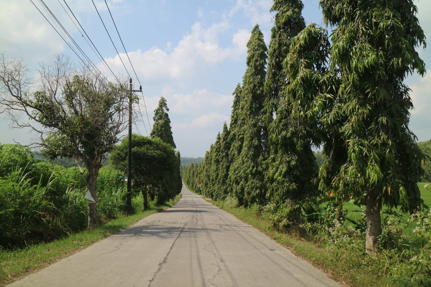 Dokumentasi Pribadi oleh Disya Afianingrum (Kormasit Sub-Unit 1 KKN-PPM UGM YO110)