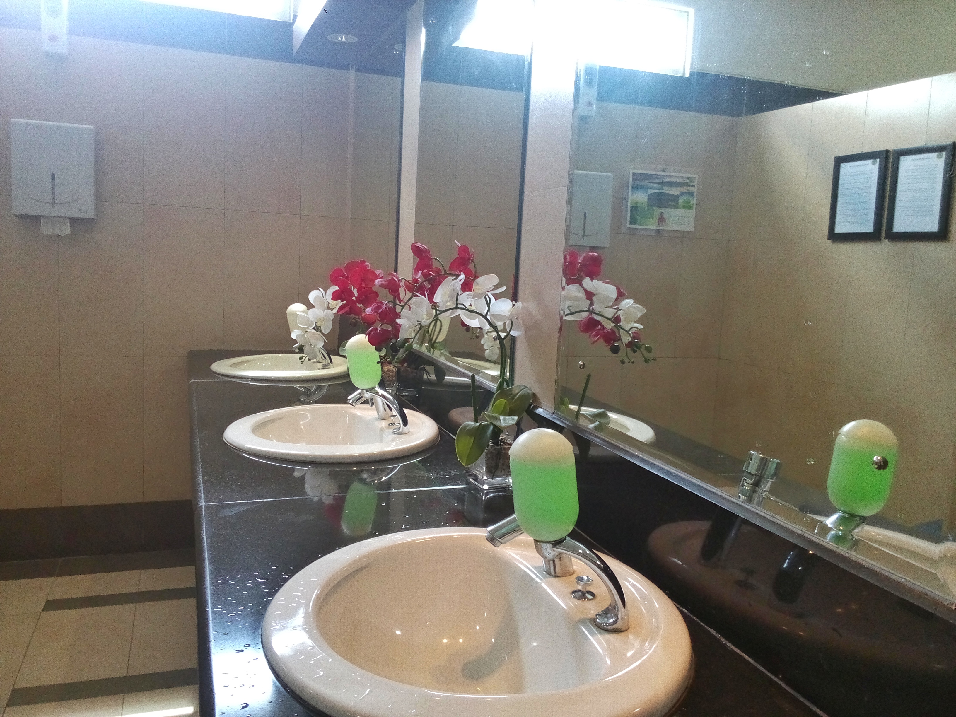 Bahkan sampai ke dalam toilet pun, mengesankan bandara ini dikelola sangat baik.