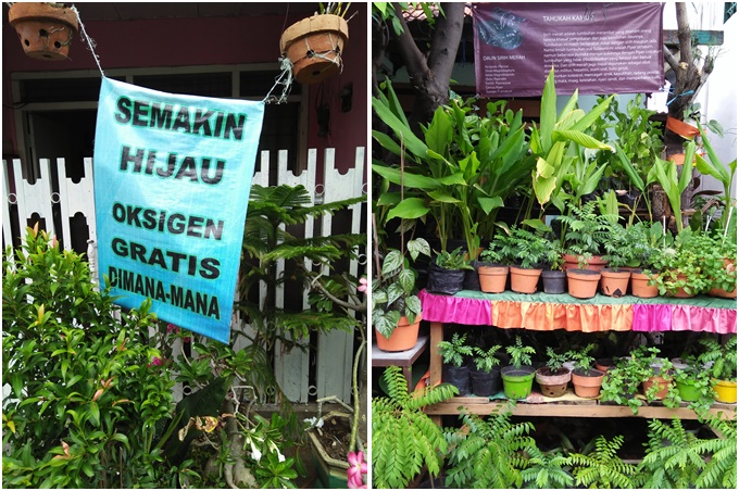 Aneka tanaman dan slogan di sudut kampung