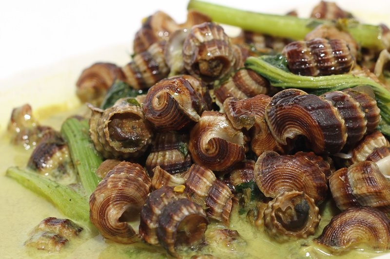 Gulai Siput Riau (akarnews.com)